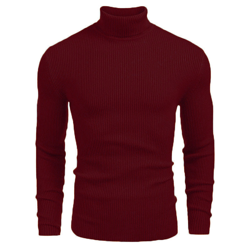 Pull fin à col roulé en tricot pour hommes d'hiver