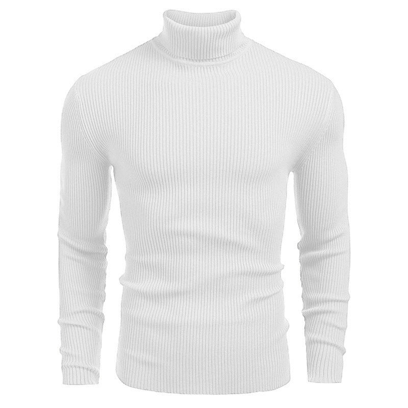 Pull fin à col roulé en tricot pour hommes d'hiver