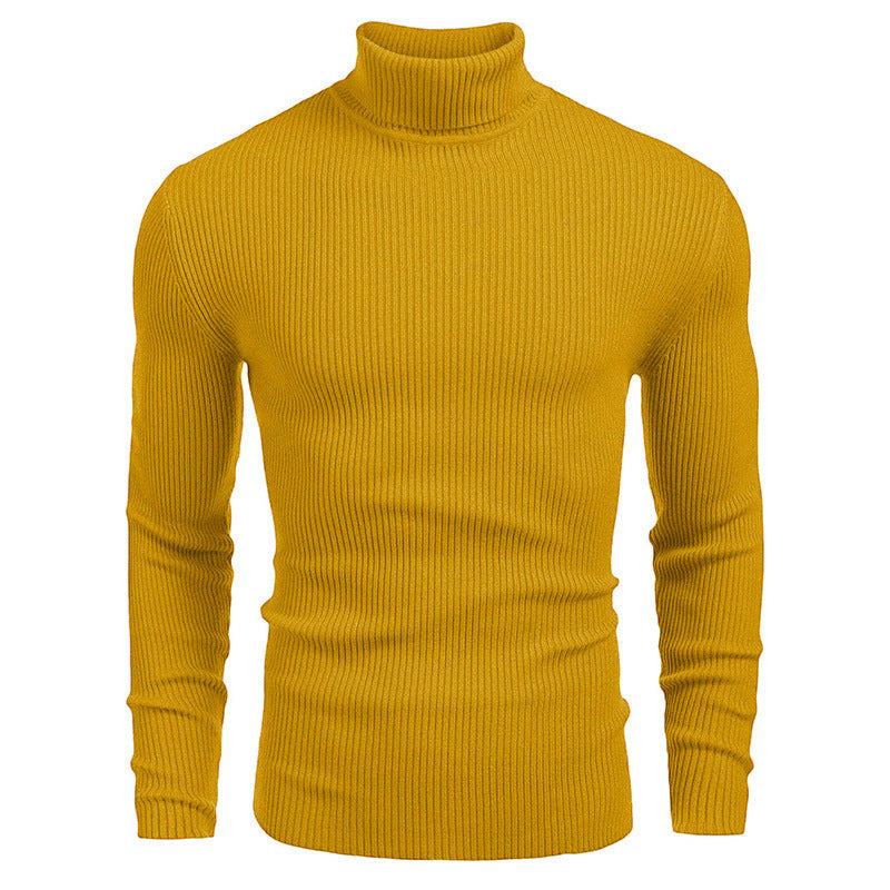 Pull fin à col roulé en tricot pour hommes d'hiver