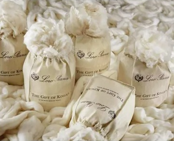 Velluto™️ Elegante straatjas