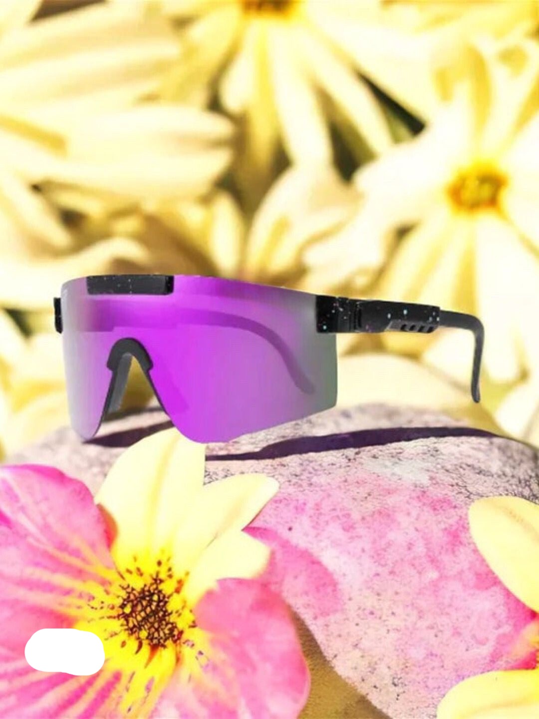 Lunettes de soleil Party Cripes : Osez la découverte